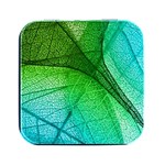 3d Leaves Texture Sheet Blue Green Square Metal Box (Black)