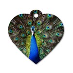 Peacock Bird Feathers Pheasant Nature Animal Texture Pattern Dog Tag Heart (Two Sides)