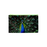 Peacock Bird Feathers Pheasant Nature Animal Texture Pattern Cosmetic Bag (XS)