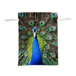Peacock Bird Feathers Pheasant Nature Animal Texture Pattern Lightweight Drawstring Pouch (M)