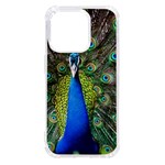 Peacock Bird Feathers Pheasant Nature Animal Texture Pattern iPhone 14 Pro TPU UV Print Case