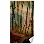 Woodland Woods Forest Trees Nature Outdoors Mist Moon Background Artwork Book Canvas 40  x 72 