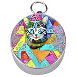 Kitten Cat Pet Animal Adorable Fluffy Cute Kitty Silver Compasses