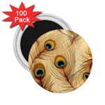Vintage Peacock Feather Peacock Feather Pattern Background Nature Bird Nature 2.25  Magnets (100 pack) 