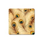 Vintage Peacock Feather Peacock Feather Pattern Background Nature Bird Nature Square Magnet