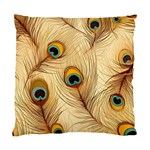 Vintage Peacock Feather Peacock Feather Pattern Background Nature Bird Nature Standard Cushion Case (Two Sides)