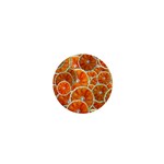 Oranges Patterns Tropical Fruits, Citrus Fruits 1  Mini Magnets