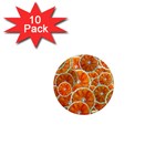 Oranges Patterns Tropical Fruits, Citrus Fruits 1  Mini Magnet (10 pack) 