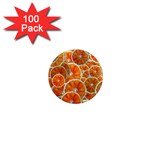 Oranges Patterns Tropical Fruits, Citrus Fruits 1  Mini Magnets (100 pack) 