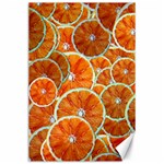 Oranges Patterns Tropical Fruits, Citrus Fruits Canvas 24  x 36 