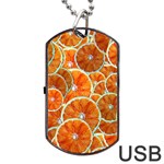 Oranges Patterns Tropical Fruits, Citrus Fruits Dog Tag USB Flash (One Side)
