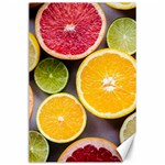 Oranges, Grapefruits, Lemons, Limes, Fruits Canvas 24  x 36 
