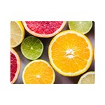 Oranges, Grapefruits, Lemons, Limes, Fruits Premium Plush Fleece Blanket (Mini)