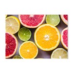 Oranges, Grapefruits, Lemons, Limes, Fruits Crystal Sticker (A4)