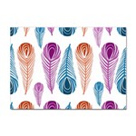 Pen Peacock Colors Colored Pattern Sticker A4 (100 pack)