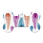 Pen Peacock Colors Colored Pattern Dog Tag Bone (Two Sides)