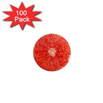 Grapefruit-fruit-background-food 1  Mini Magnets (100 pack) 