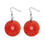 Grapefruit-fruit-background-food Mini Button Earrings