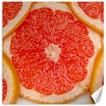 Grapefruit-fruit-background-food Canvas 20  x 20 