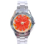 Grapefruit-fruit-background-food Stainless Steel Analogue Watch