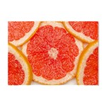 Grapefruit-fruit-background-food Crystal Sticker (A4)