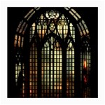 Stained Glass Window Gothic Medium Glasses Cloth