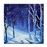 Landscape Outdoors Greeting Card Snow Forest Woods Nature Path Trail Santa s Village Face Towel