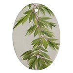 Watercolor Leaves Branch Nature Plant Growing Still Life Botanical Study Ornament (Oval)