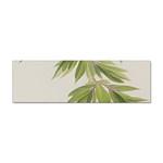 Watercolor Leaves Branch Nature Plant Growing Still Life Botanical Study Sticker Bumper (10 pack)