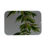 Watercolor Leaves Branch Nature Plant Growing Still Life Botanical Study Open Lid Metal Box (Silver)  