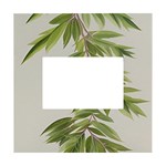 Watercolor Leaves Branch Nature Plant Growing Still Life Botanical Study White Box Photo Frame 4  x 6 