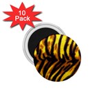 Tiger Pattern 1.75  Magnet (10 pack) 