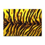 Tiger Pattern Sticker A4 (10 pack)