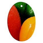 Three Colors Ornament (Oval)