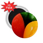Three Colors 2.25  Magnet (10 pack)