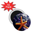 Star 1.75  Magnet (10 pack) 
