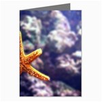 Star Greeting Cards (Pkg of 8)