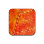 Red Leaf Rubber Square Coaster (4 pack)