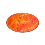 Red Leaf Sticker (Oval)