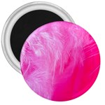Pink Feather 3  Magnet