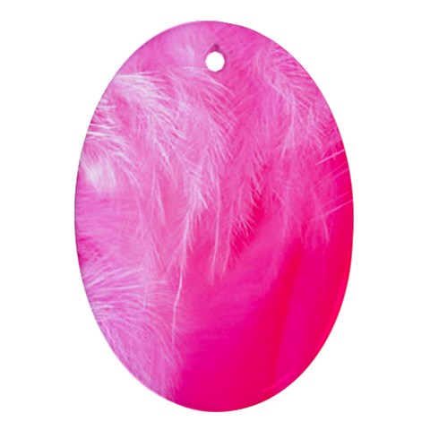 Pink Feather Ornament (Oval) from UrbanLoad.com Front
