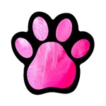 Pink Feather Magnet (Paw Print)