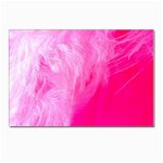 Pink Feather Postcards 5  x 7  (Pkg of 10)
