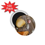 Pebbles on the beach 1.75  Magnet (100 pack) 