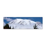 Mount Rainier Sticker Bumper (10 pack)