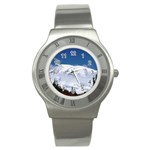 Mount Rainier Stainless Steel Watch
