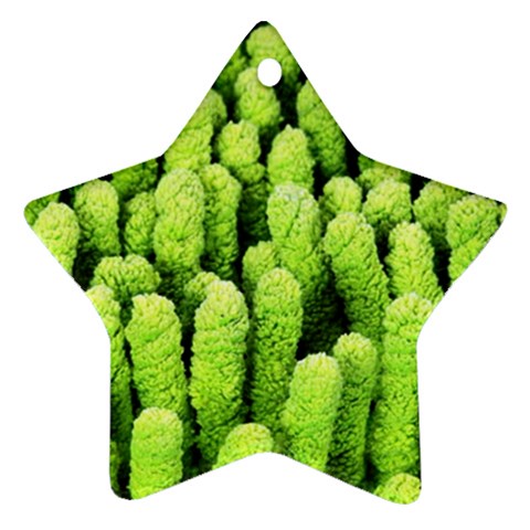 Microfibre cloth Ornament (Star) from UrbanLoad.com Front
