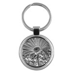 Living Color Key Chain (Round)