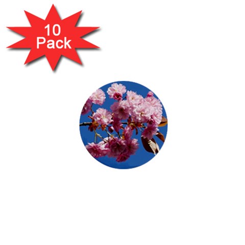 Japanese flowering cherry 1  Mini Button (10 pack)  from UrbanLoad.com Front