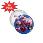 Japanese flowering cherry 1.75  Button (10 pack) 